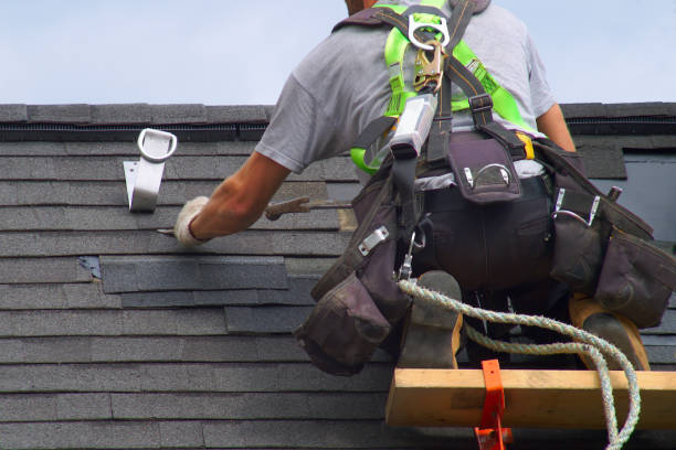 Best Roof Gutter Cleaning  in Chester Gap, VA