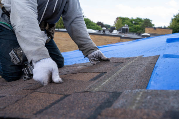 Best Roof Restoration Services  in Chester Gap, VA