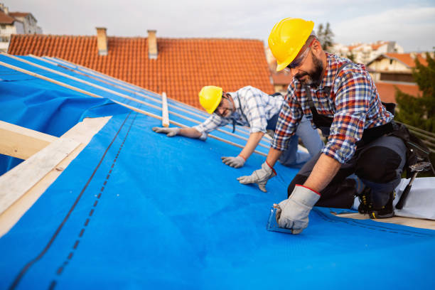 Best Storm Damage Roof Repair  in Chester Gap, VA
