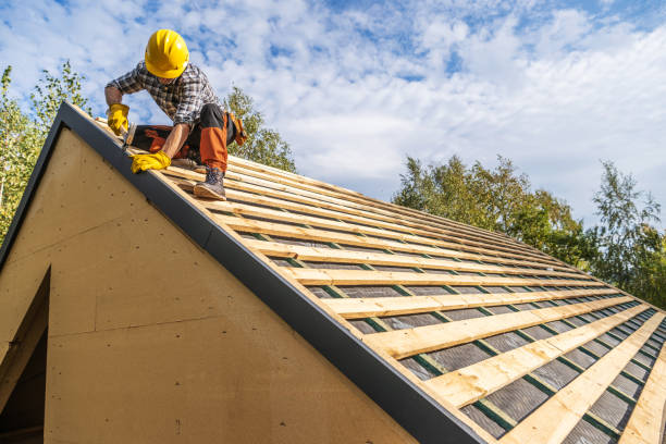 Best Roof Maintenance Services  in Chester Gap, VA
